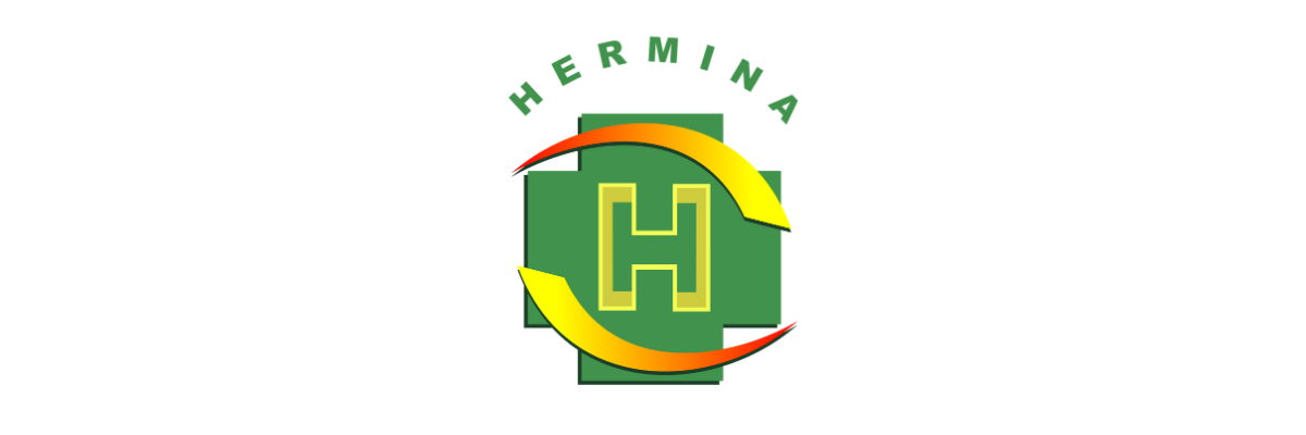 RS Hermina